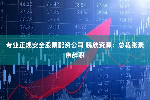专业正规安全股票配资公司 鹏欣资源：总裁张素伟辞职