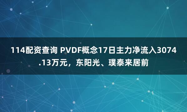 114配资查询 PVDF概念17日主力净流入3074.13万元，东阳光、璞泰来居前