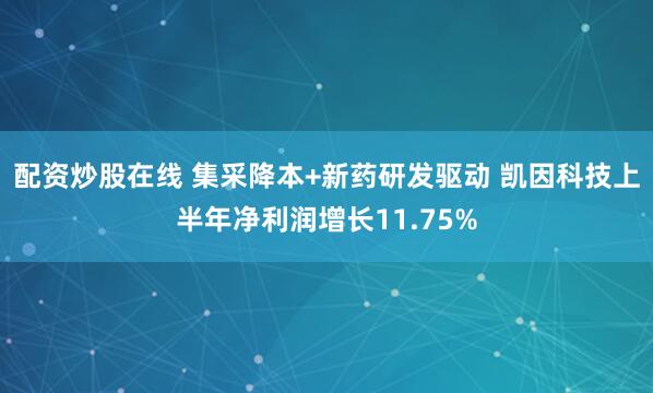 配资炒股在线 集采降本+新药研发驱动 凯因科技上半年净利润增长11.75%